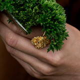 Persille Statement Ring Forgyldt