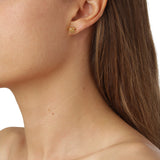 Dild Ørestikkere forgyldt