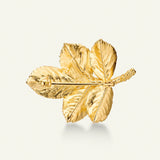 Rosenblad broche